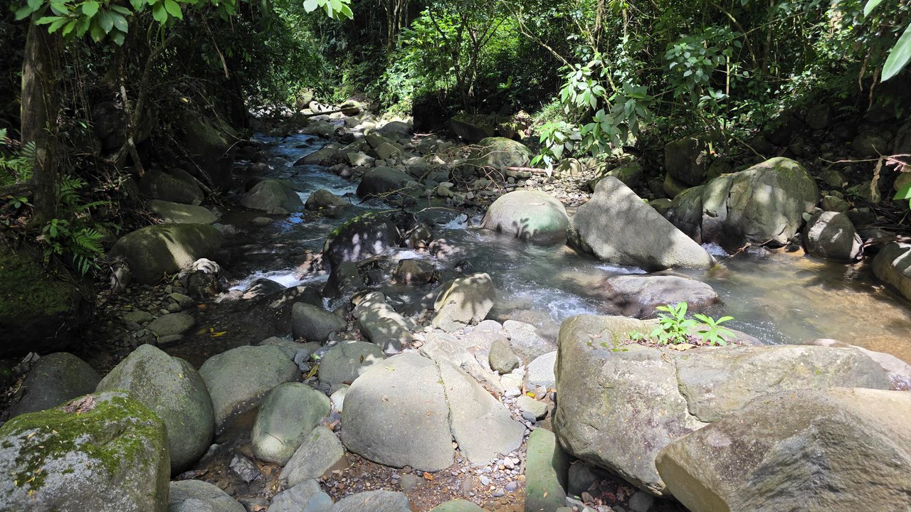 Jungle River Resort: Boutique Jungle River Resort with Pool, Restaurant & Cabinas in Ojochal - Gallery image 43