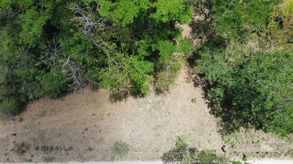5.67 Hectares in Puerto Viejo: Prime Development Parcel Just 2 Mins from the Beach - Gallery image 7