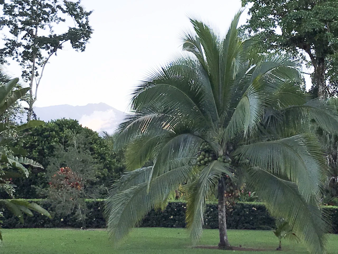 Beautiful Home for Sale with its own Natural Paradise - Gallery image 24