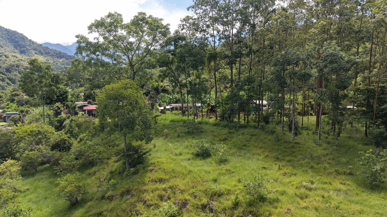 Mountain Home Construction Site For Sale in San Isidro del General - photo 4