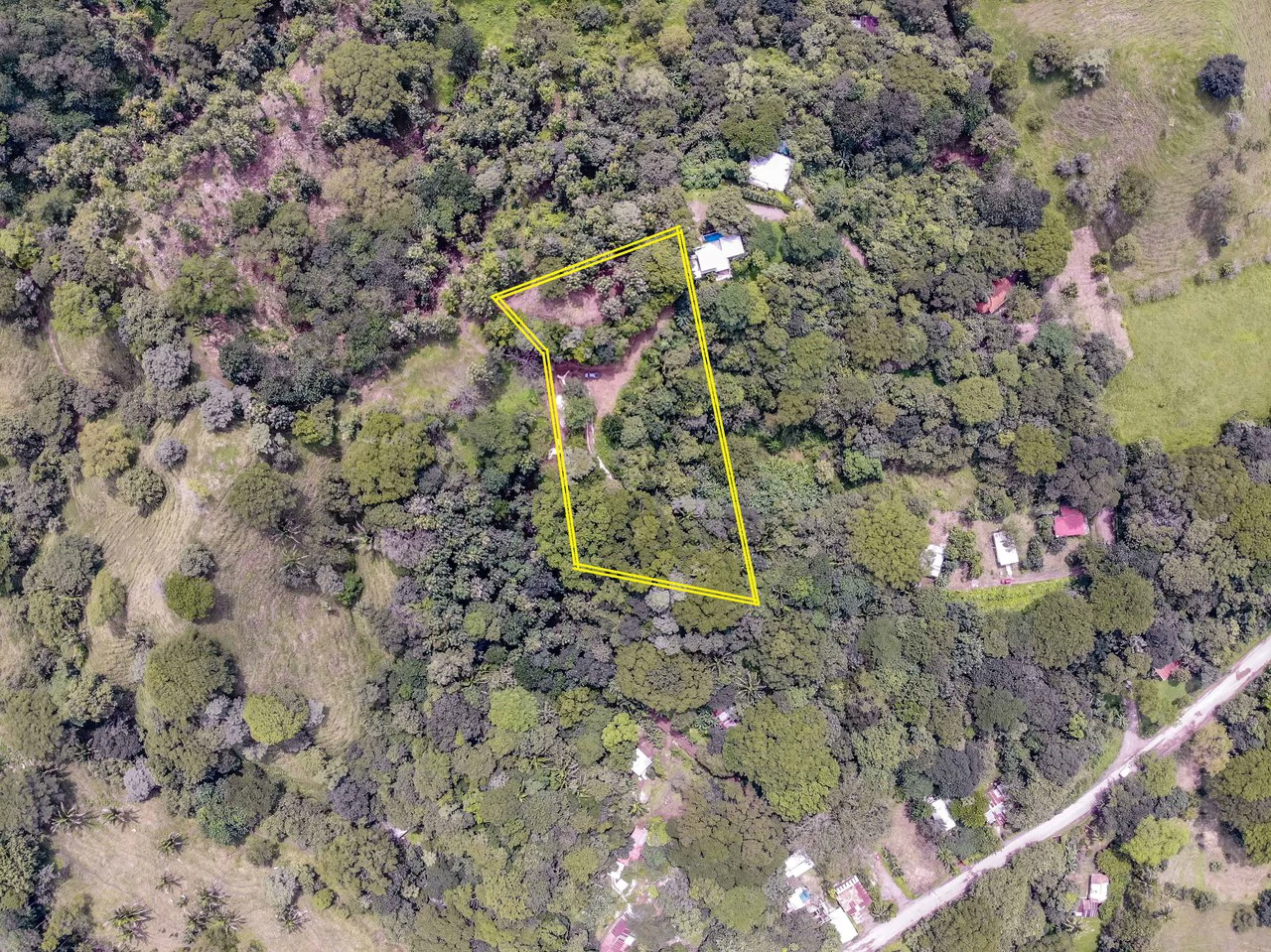 Finca del Cusuco: Hills of Buena Vista - Gallery image 6