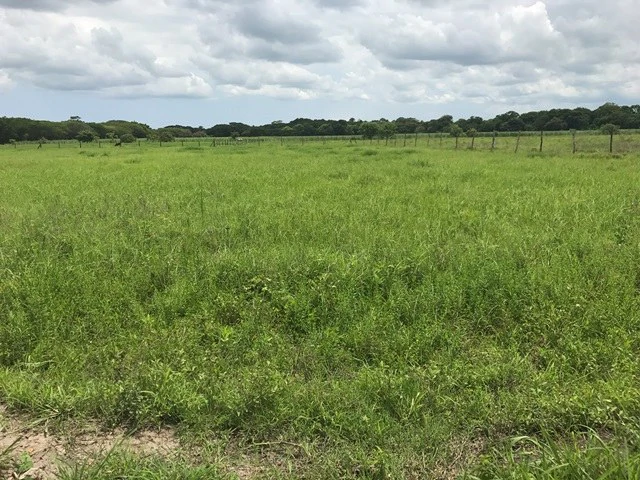 Commercial Development Land for Sale in Guanacaste, Costa Rica - Gallery image 6