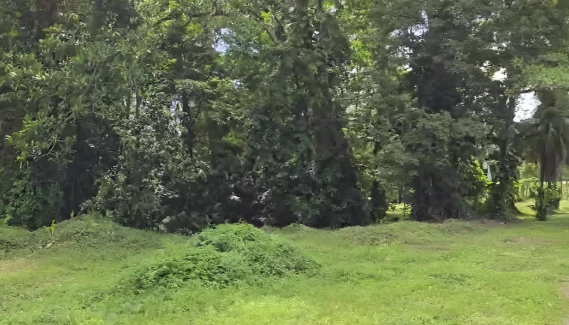 Near the Coast Development Parcel For Sale in Moin - Gallery image 7