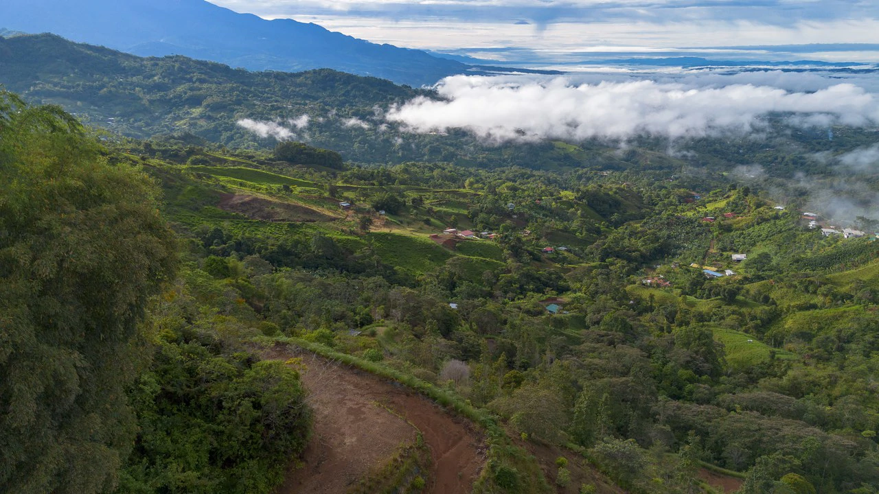 10.21 Acres with Views & Plantels – Pérez Zeledón - Gallery image 31