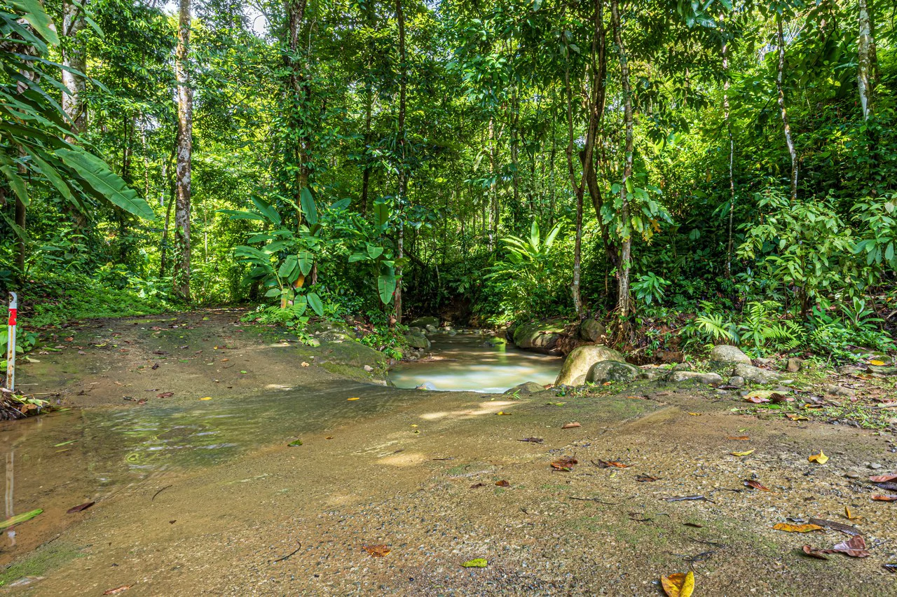A Jungle House Built of Wood & River Dreams - Gallery image 40