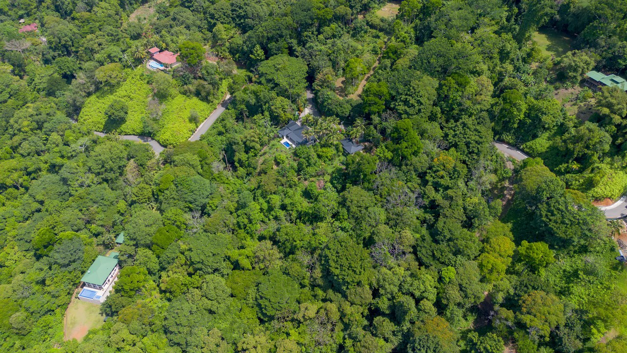 6.45 ACRES – 3 Bedroom Luxury Ocean View Home Surrounded By Vibrant Rainforest And Wildlife!!! - photo 17