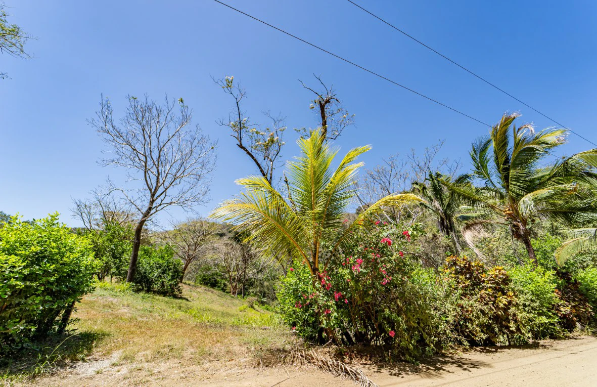 Lote del Bosque: Beautiful Acre Lot in Montaña - Gallery image 8