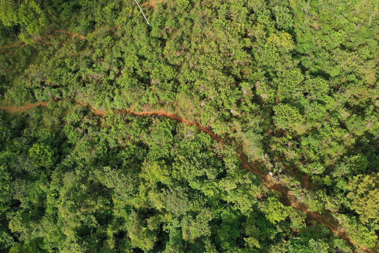 47 Acre Off Grid Ranch with Ocean & Mountain Views San Lorenzo Perez Zeledón - Gallery image 22
