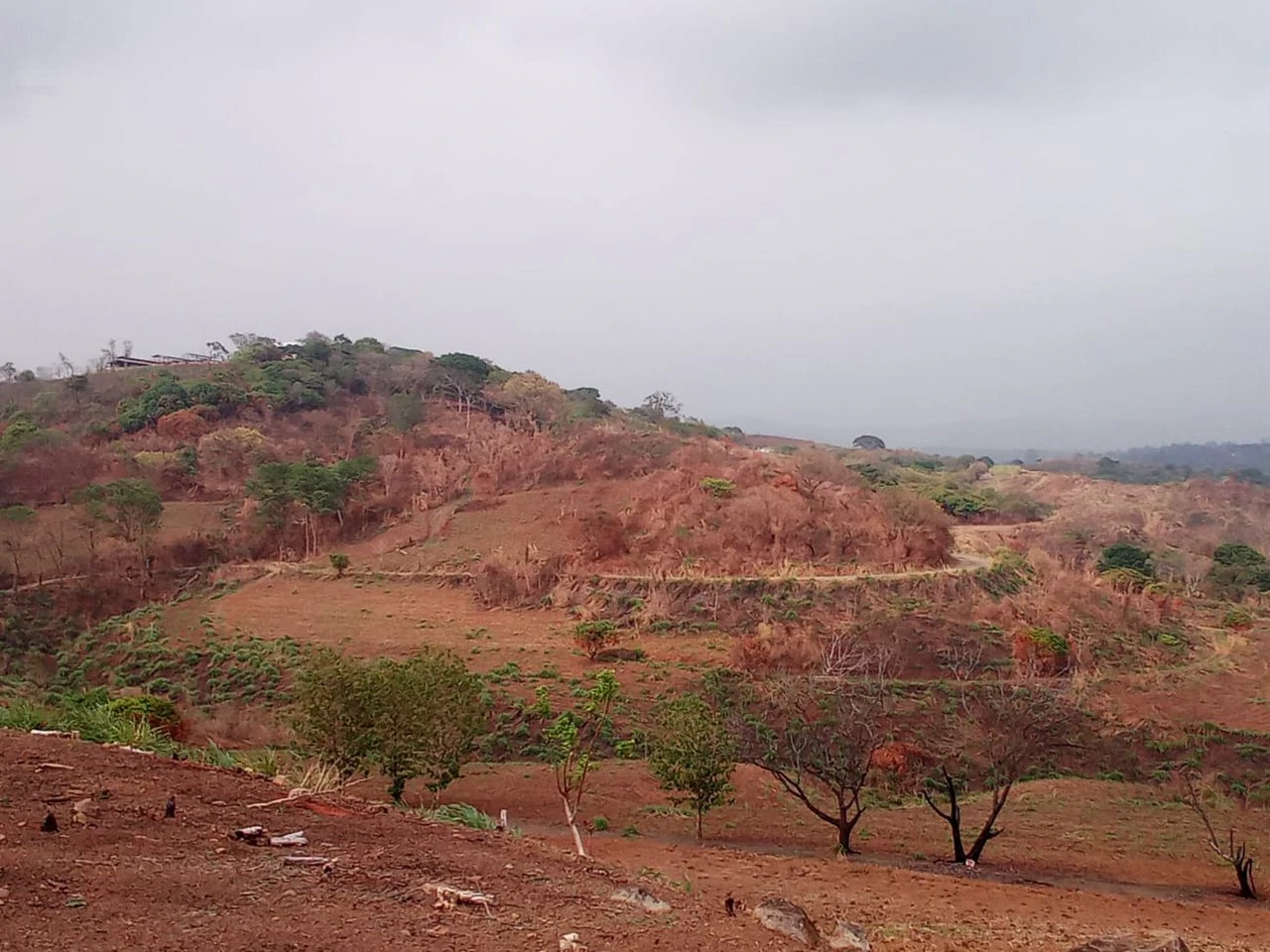 THE JEWEL OF GRECIA: $20m2 - 10 Hectares of Unlimited Potential! - Gallery image 8