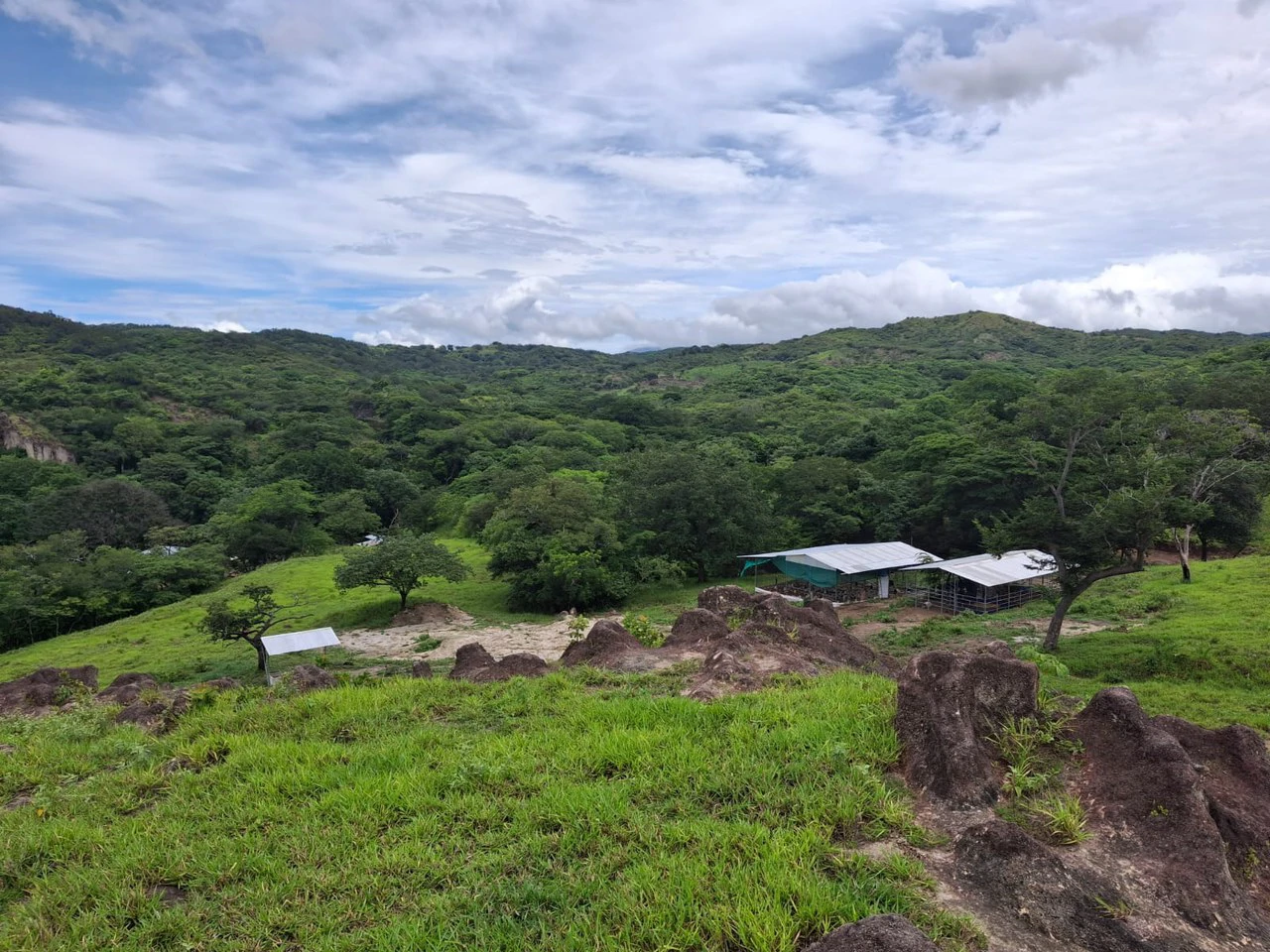 Natural beauty meets Tranquility!: 70,000m2 in Growing Geothermal Eco-Tourism area! - Gallery image 8