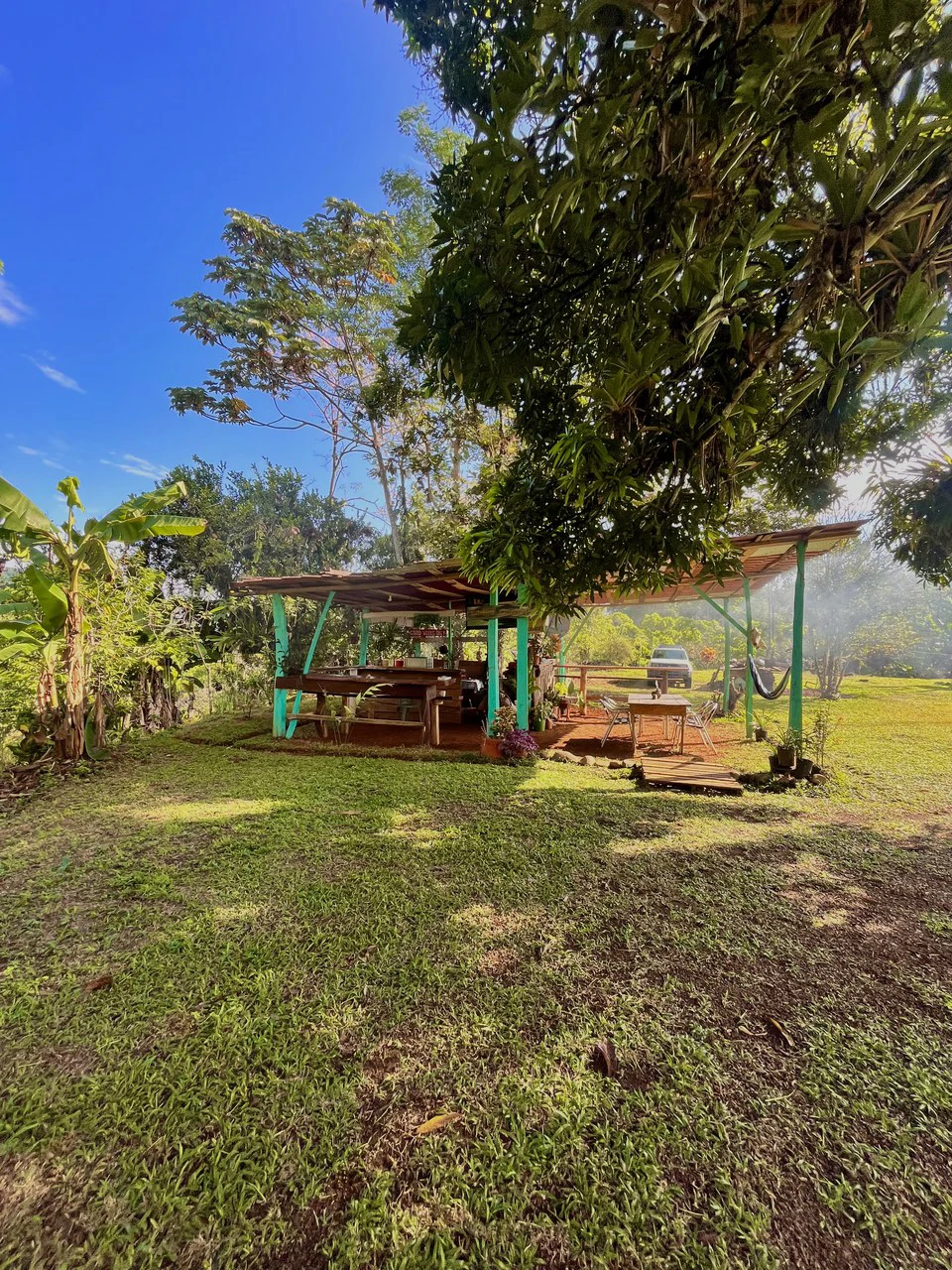 SPECTACULAR ECOLOGICAL MOUNTAIN FARM IN BIJAGUAL DE TURRUBARES - Gallery image 33