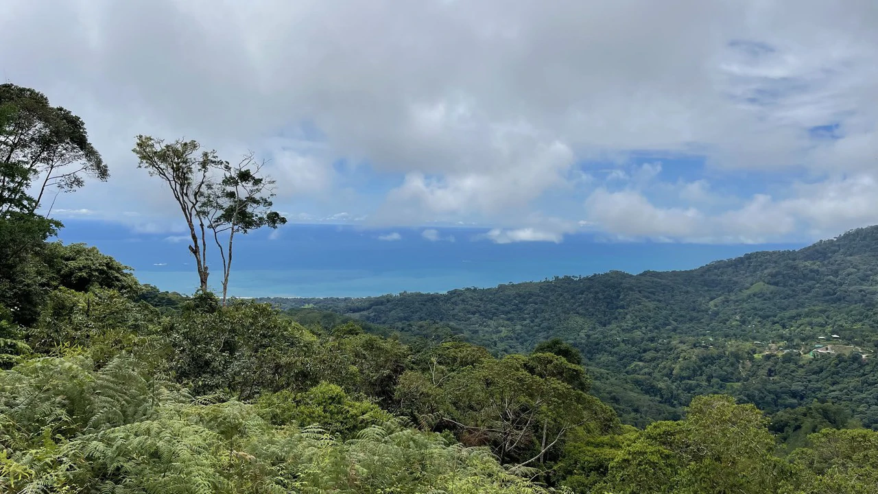 Los Nenes: Mountain Home Construction Site For Sale in Uvita - Gallery image 7