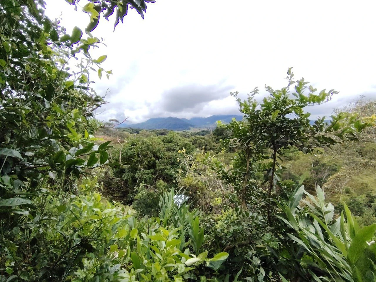 PROPIEDAD EN VENTA, UBICADA EN SANTA ELENA, PEREZ ZELEDON: Mountain Home Construction Site For Sale in Cajón - Gallery image 6