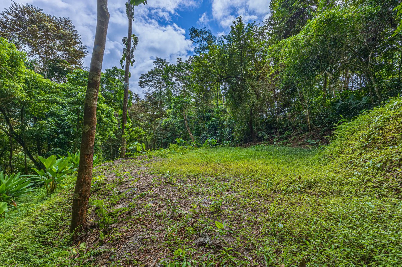 Rare 86-Acre Ocean View Estate Bordering Hacienda Barú – A Unique Opportunity for Conservation and Development - Gallery image 5