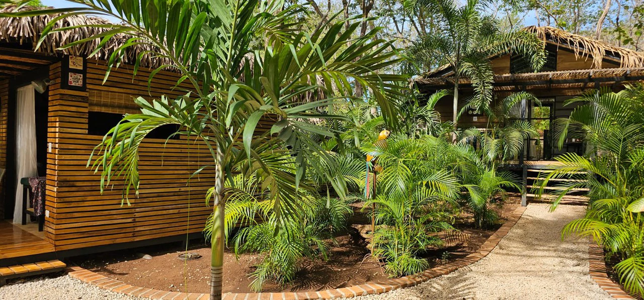 Successful Wellness and Spa with restaurant: One Of A Kind, Successful Wellness, Spa And Restaurant Oasis Close To Tamarindo - Gallery image 42