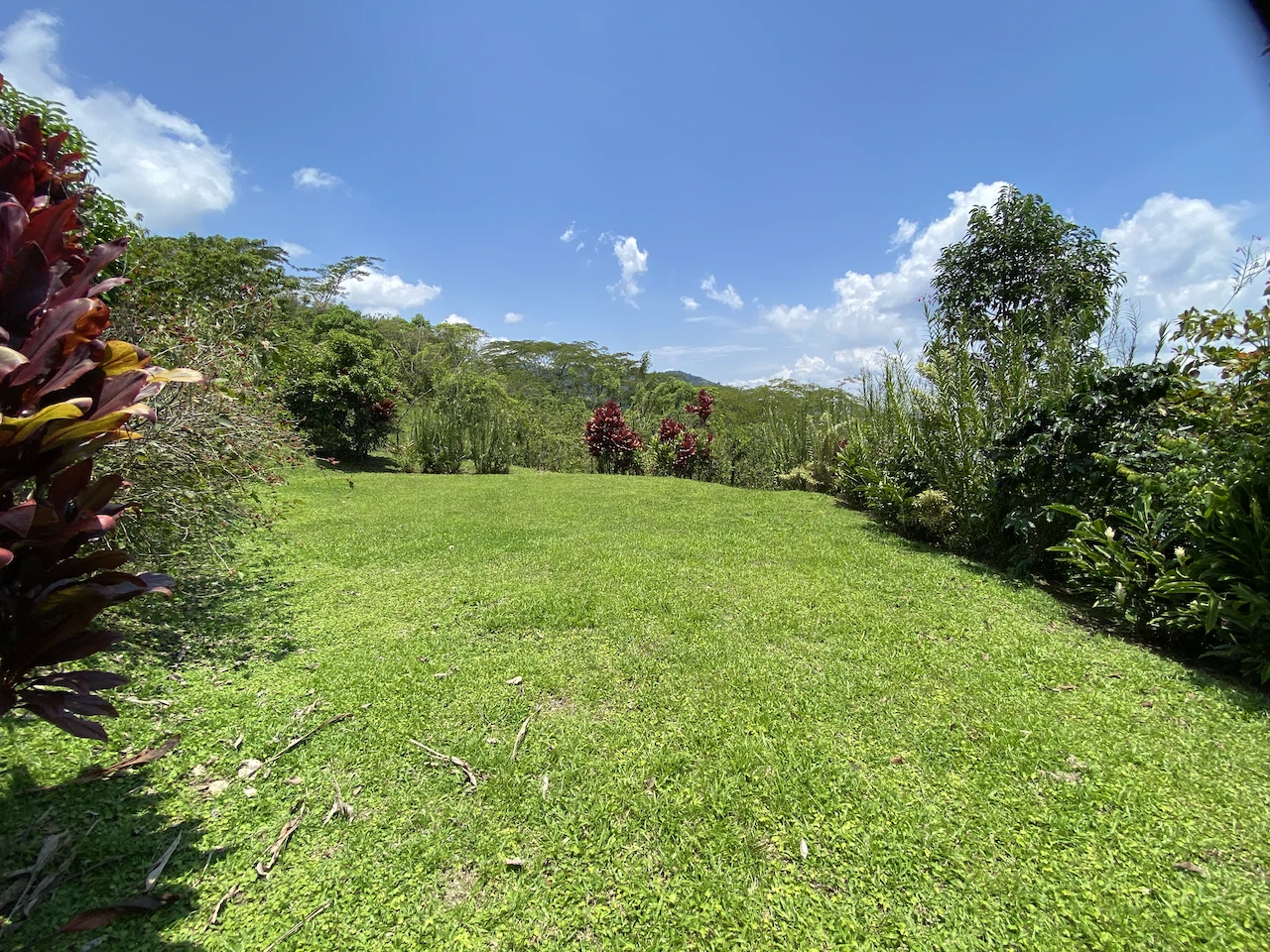 Beautiful Property with 4 cabins in El Castillo with gorgeous Lake View..!! - photo 4