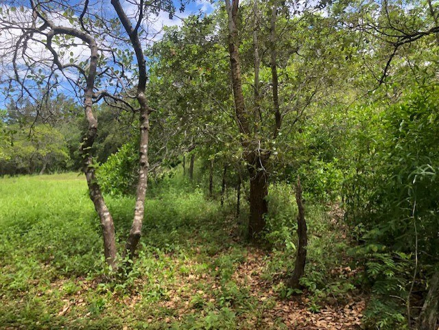 Mountain Farm for Sale in Liberia – Nature, Privacy, and High Investment Potential - Gallery image 36