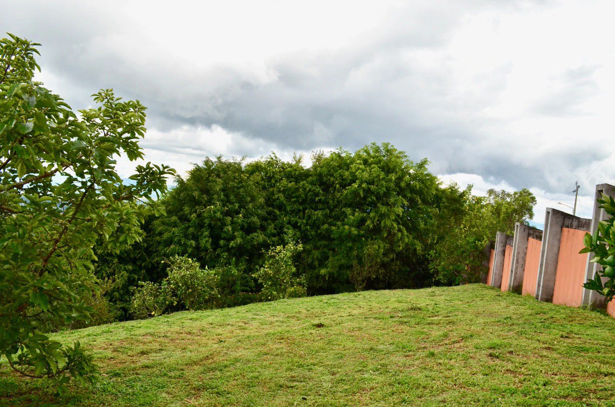 Finca doña Flory: Property with incredible views in Santa Barbara, Heredia - Gallery image 27