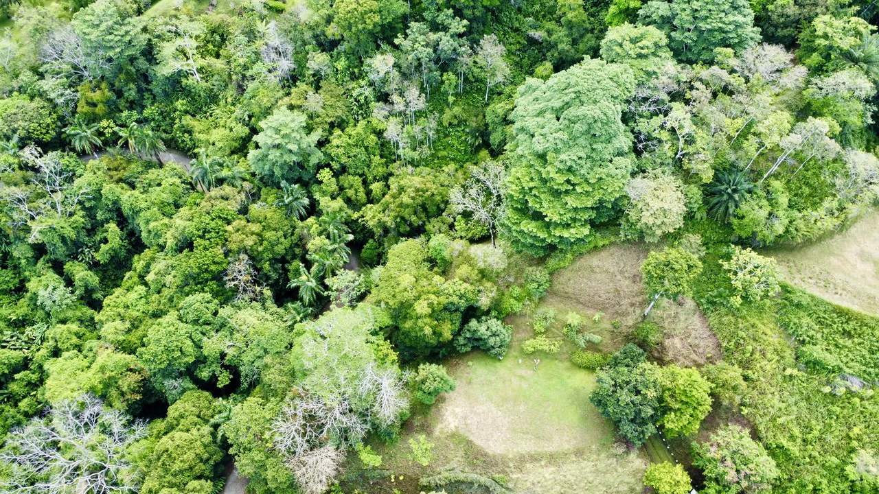 3.6 Acre Ocean View, Near the Beach & Cool Mountain Elevation: Mountain Home Construction Site For Sale in Lagunas - Gallery image 2