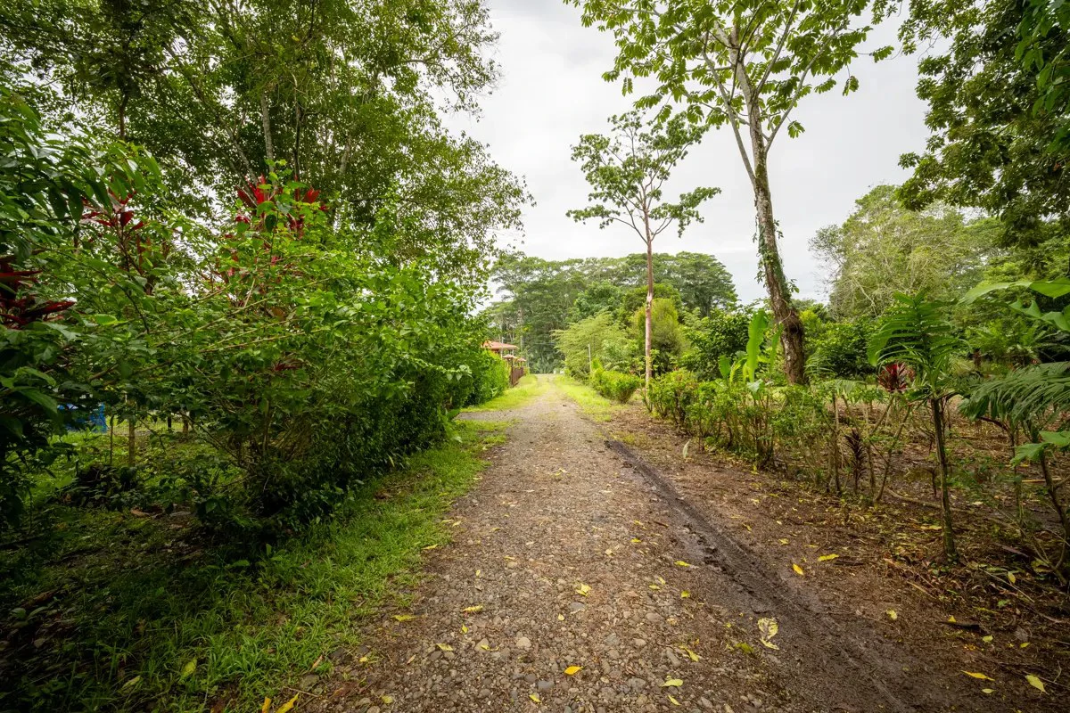 ID 1150: 3000 sqm Titled Land Near Cahuita National Park, Costa Rica - photo 9