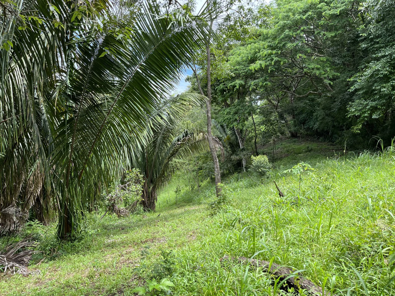 6 Acres Ready for Development in Samara - Gallery image 8