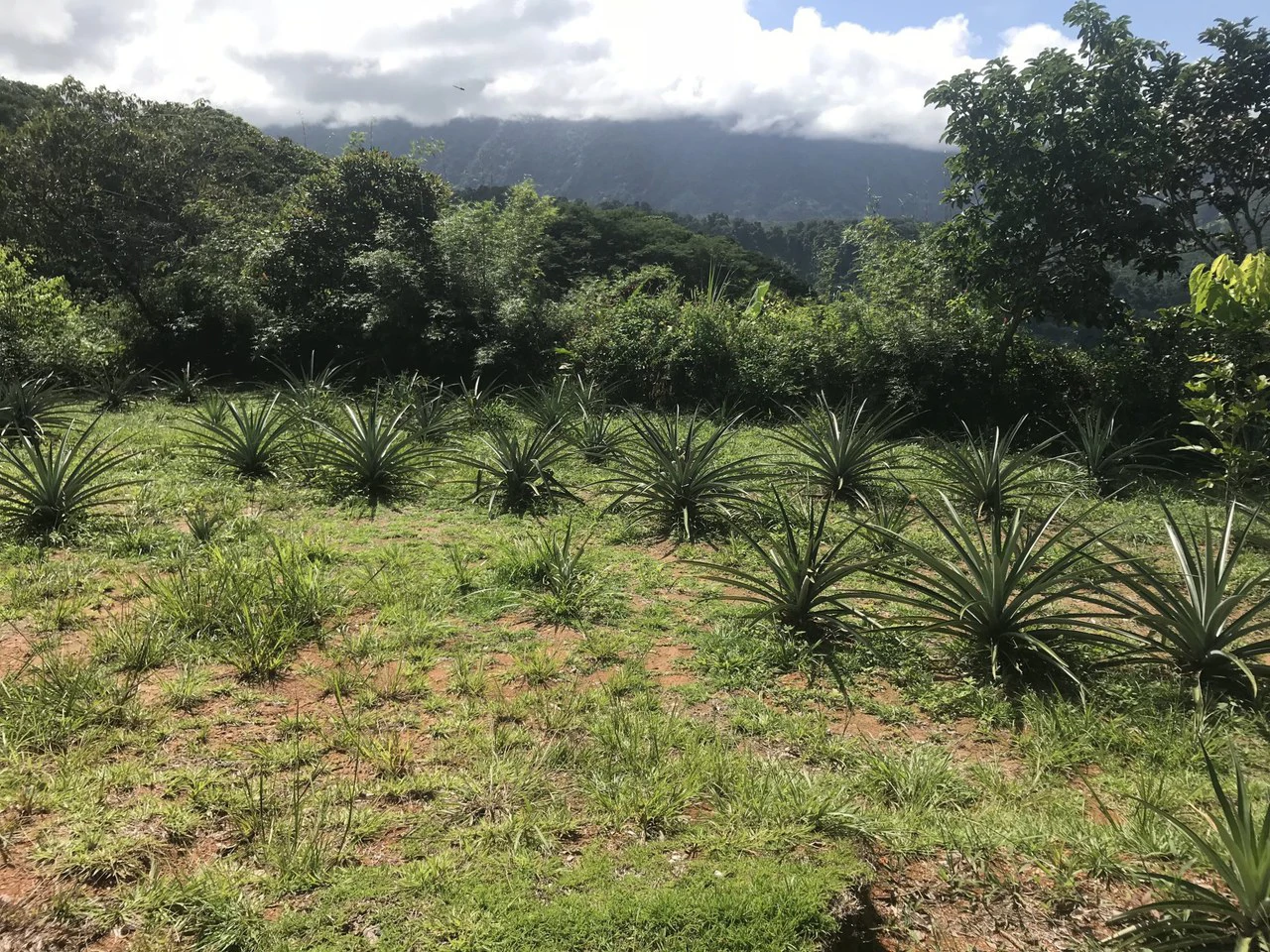 2.7 ACRES – 3 Bedroom Home With Great Mountain View, 2 Pools With Waterslide, 2 Wheel Drive Access!!! - Gallery image 21