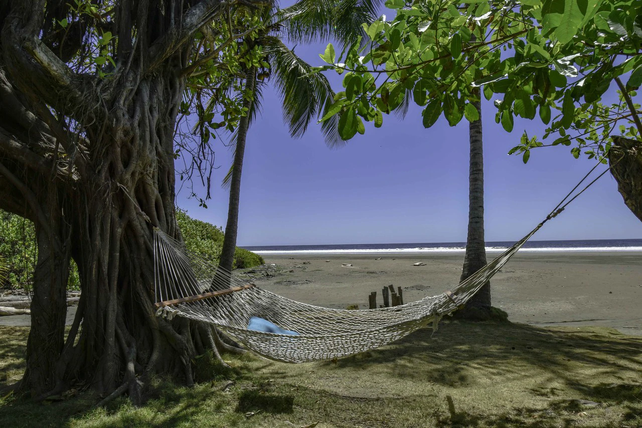 Rare Titled Beachfront Property with House - Gallery image 11