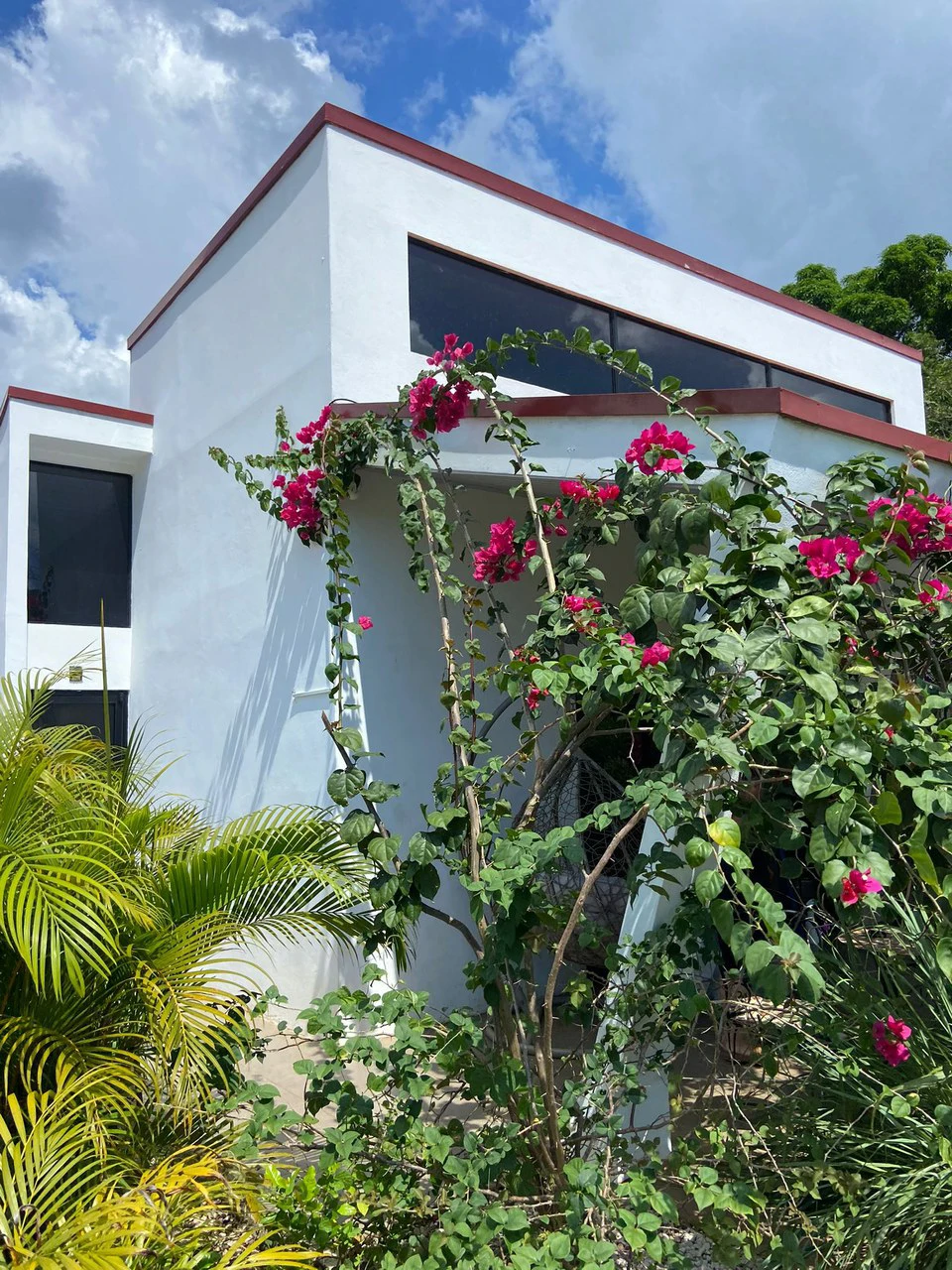 Casa Helene: Two bedroom house near Carrillo - photo 4