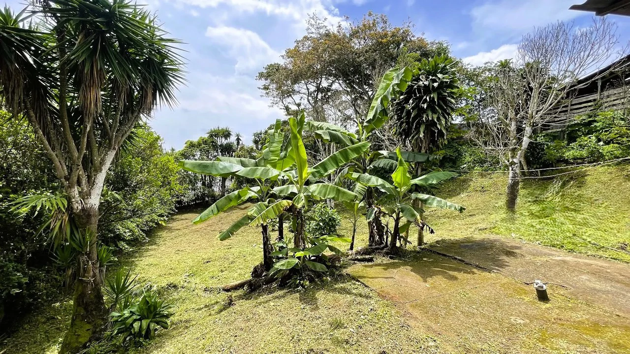 INVESTMENT: HOUSE & LARGE LOT IN SAN ISIDRO, SAN RAMON: House For Sale in San Ramón - Gallery image 2