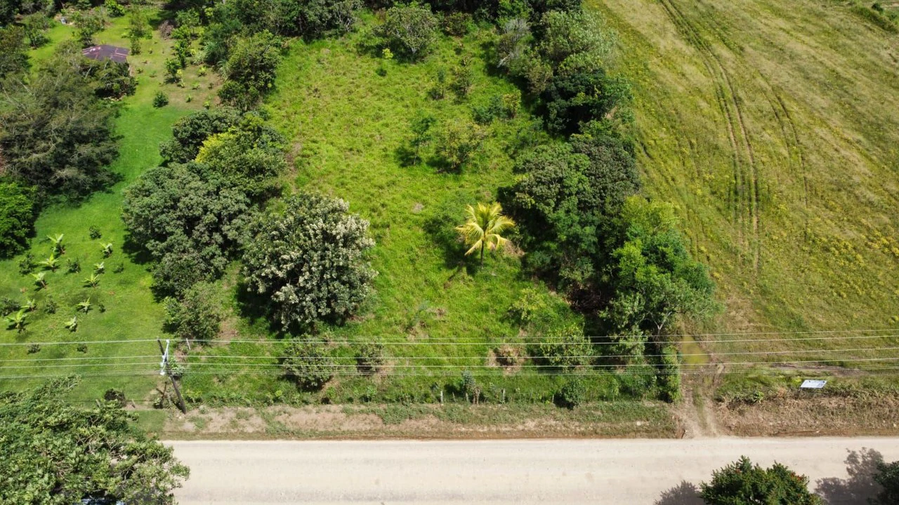 Se vende propiedad en el Rosario Pacuar, Pérez Zeledón.: Countryside Home Construction Site For Sale in Daniel Flores - Gallery image 10