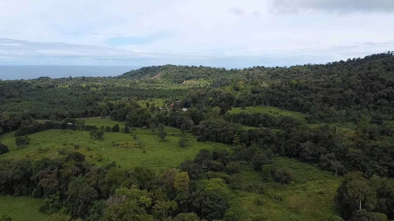 23 Acres of Paradise at Bahia Drake - Gallery image 37