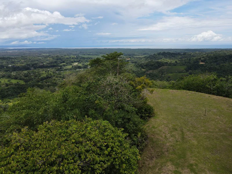 Panoramic 180 Degree Ocean View Lot Ready To Build Close To Ojochal - Gallery image 6