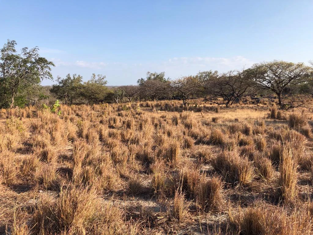 Airport Property - in front of route 21, Liberia - Gallery image 17