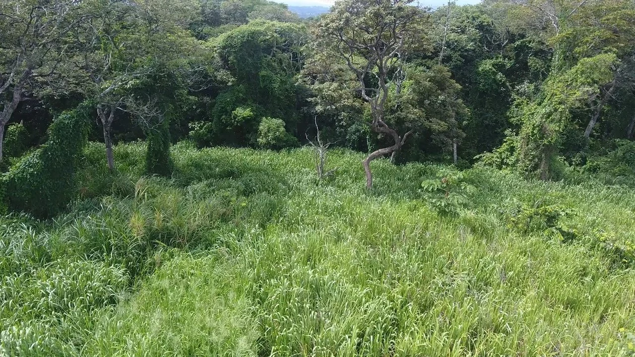 Home Construction Site For Sale in La Garita - Gallery image 6