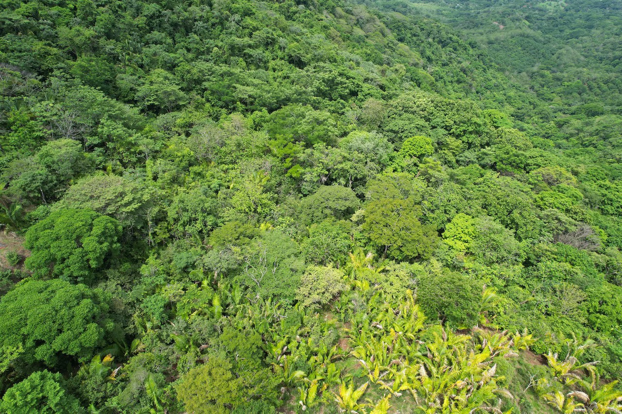 Lotes Paraíso: Spectacular Ocean and Mountain View 5.77 acres Development Land - Gallery image 10