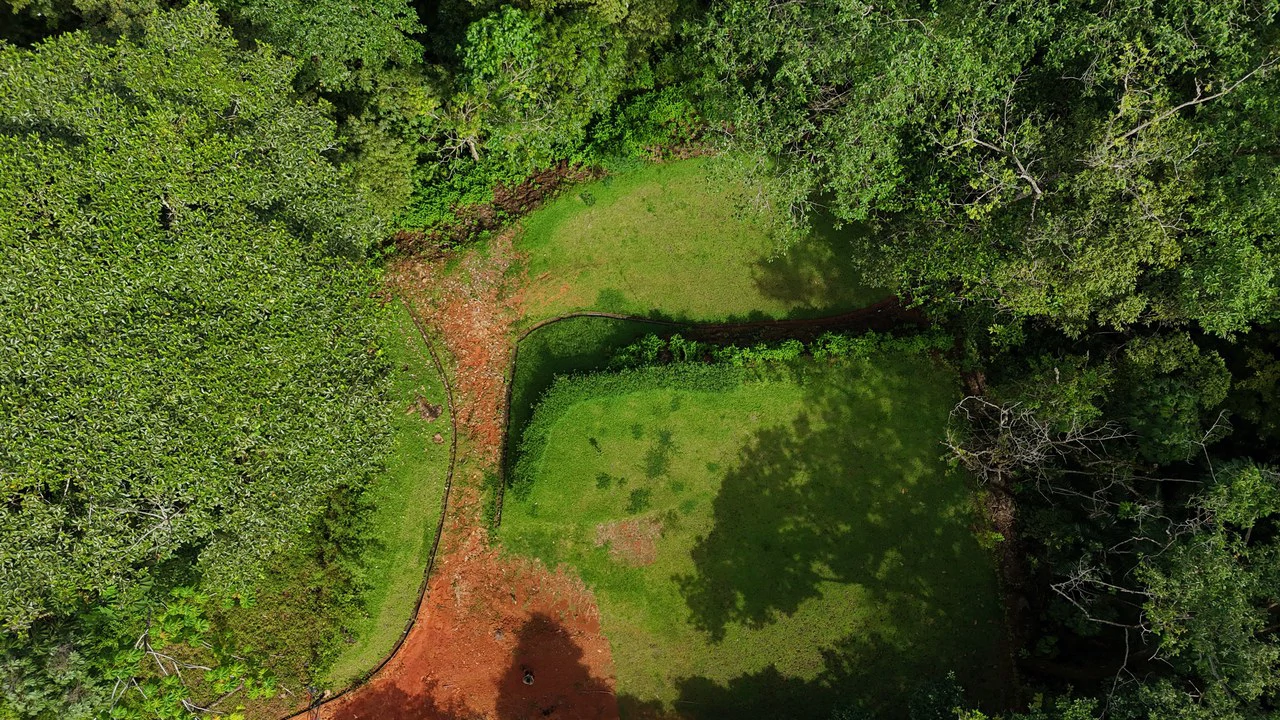 Tropical Paradise in Uvita: 939 sqm Property with Dual Building Sites, 5 Minutes from the Beach - Gallery image 5