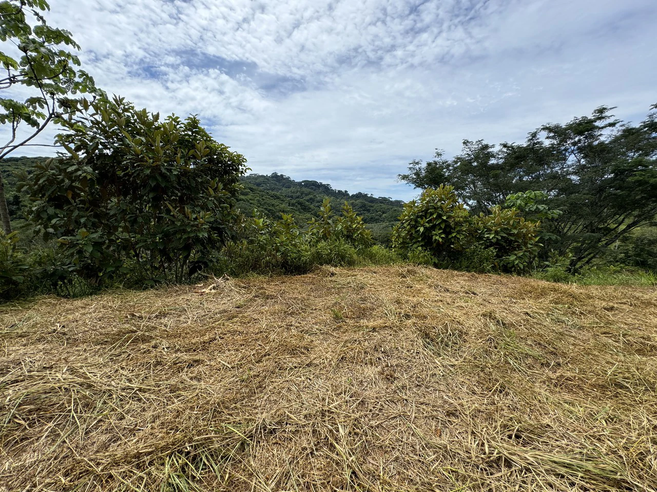 2.6 ACRES – 3 Bedroom Home With Beautiful Views, Several More Building Sites, Perfect For Small Farm!!! - Gallery image 31
