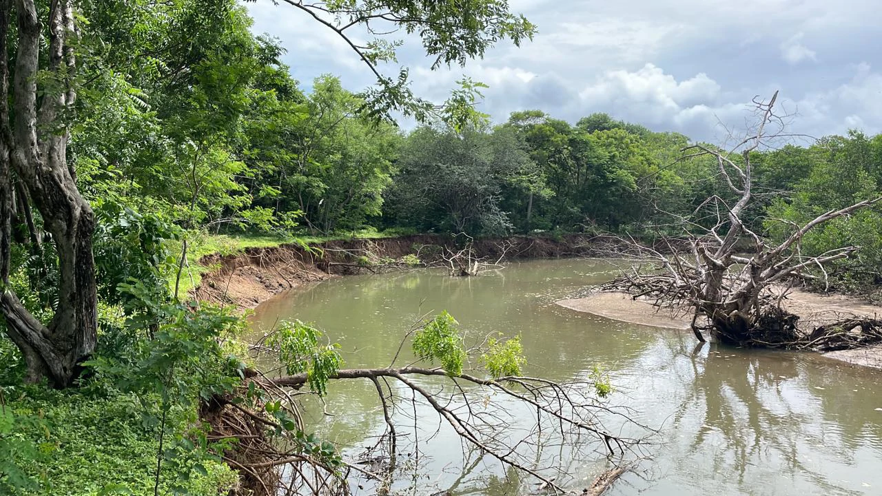 Beachfront Private Titled Property for sale close to La Cruz, beautiful nature land, ready to build - Gallery image 7