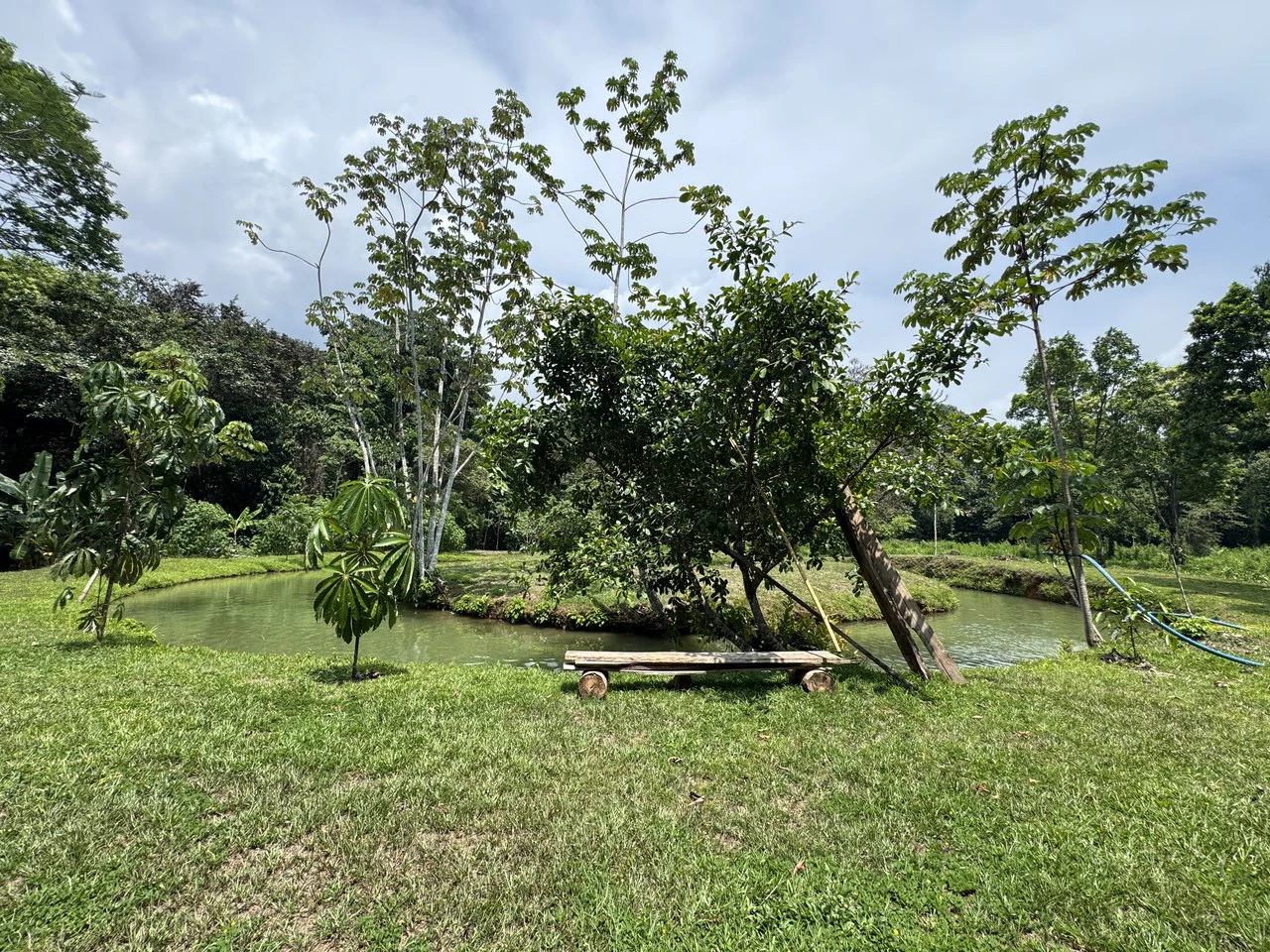 50 Acre Waterfall and River Paradise Above Dominical - Gallery image 68