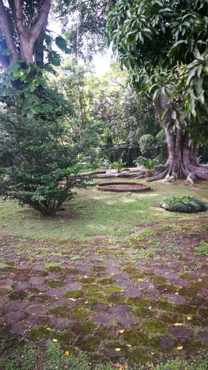 Home Construction Site For Sale in Escazú - Gallery image 5