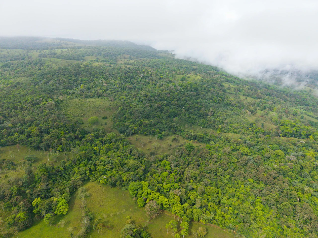 Finca Las Zompopas-Río Celeste: 113-Acre Biodiverse Property in Bijagua, Ideal for Eco-Tourism, Private Retreats, or Sustainable Development - Gallery image 30