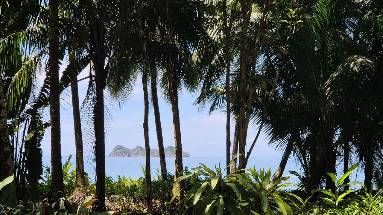 Dream Beachfront Property at Ballena Beach in Uvita, Costa Rica - Gallery image 24