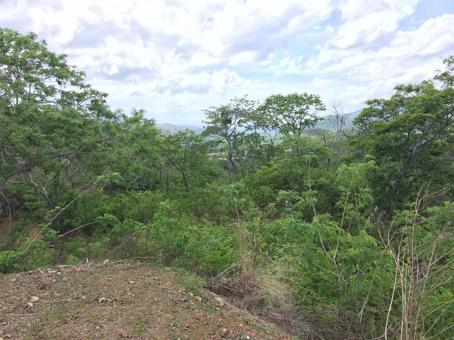 GRAN OPORTUNIDAD: GREAT OPPORTUNITY. Property of 48.3 hectares adjacent to the Hotel Riu - Gallery image 11