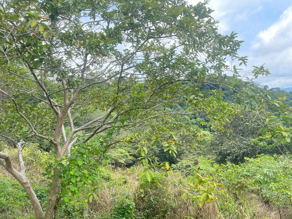 Lot for sale in Residential Vista Mar ocean and mountains view between San Mateo and Orotina Alajuela Costa Rica - Gallery image 3