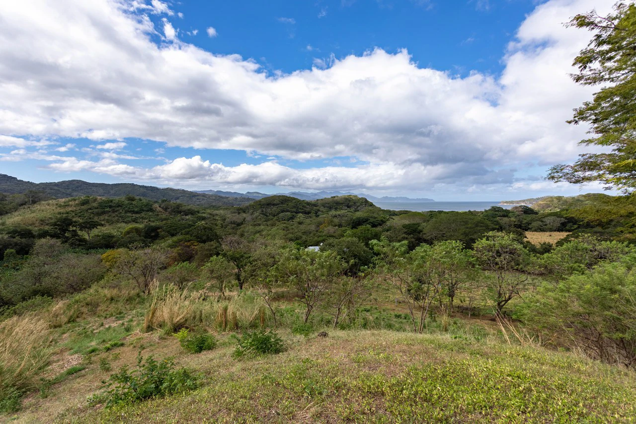 220 Acres Beachside Farm with Ocean View at Playa Junquillal in Guanacaste - Gallery image 9