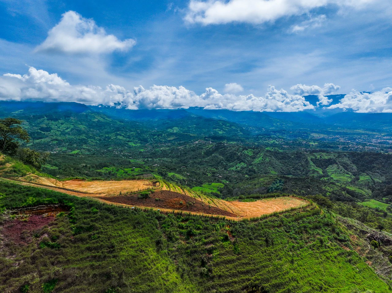 12 Acre Fruit Farm Above San Isidro City Lights Chirripó Views and Deep Well Water - Gallery image 11