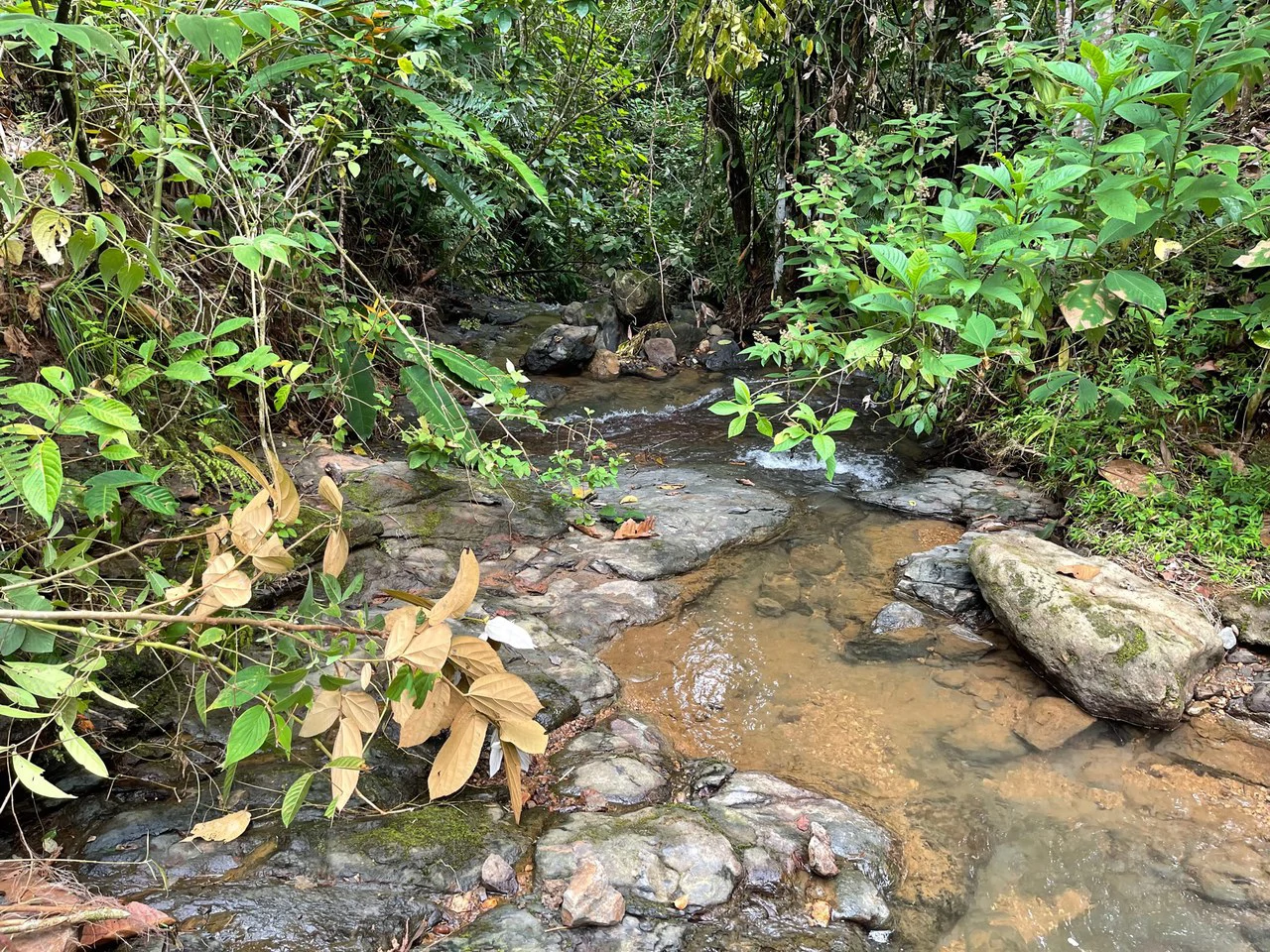 Just Over 3 Acres Riverfront Land in Platanillo Above Dominical - Gallery image 7
