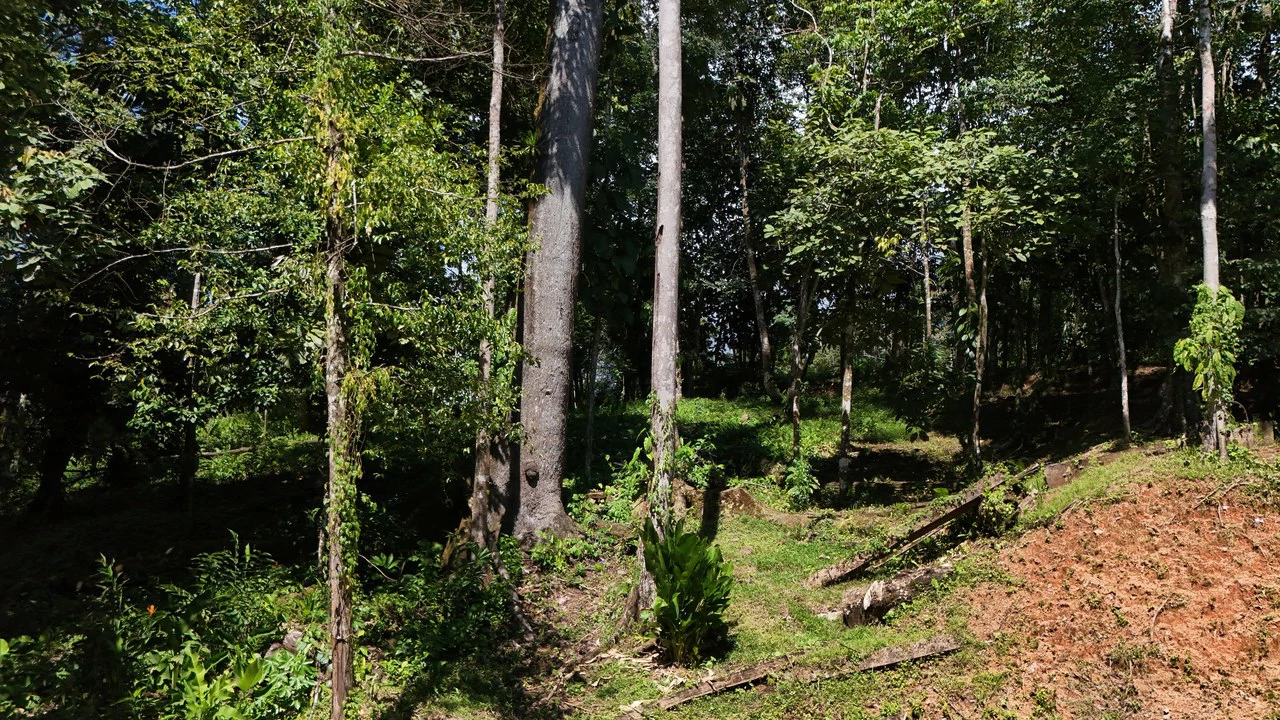 Private Beach Community | 1,708 m² Build-Ready Lot in Ballena - Gallery image 8