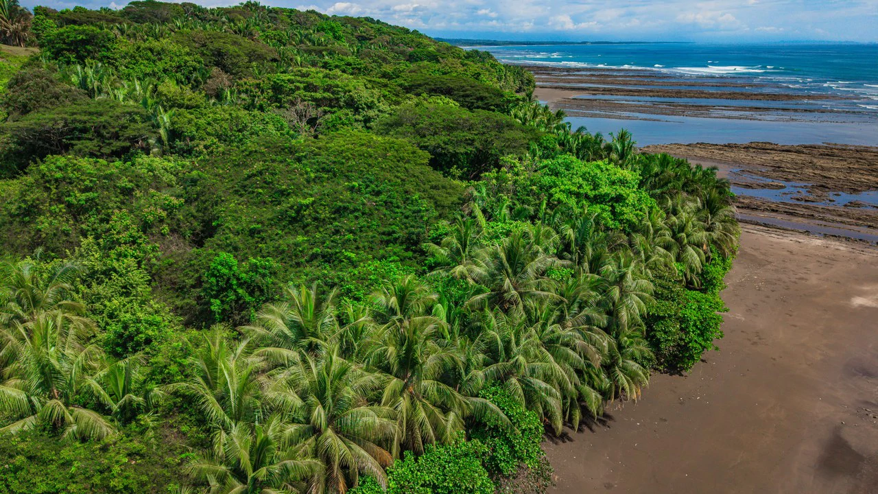 4,850 Acre Beachfront Legacy Ranch Esterillos Central Pacific Coast - Gallery image 18
