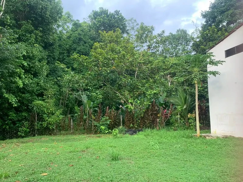 Private Home in Oasis: La Amapola, Puerto Jimenez - Gallery image 16